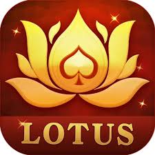 teen patti joi apk download